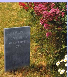 Pet Memorials